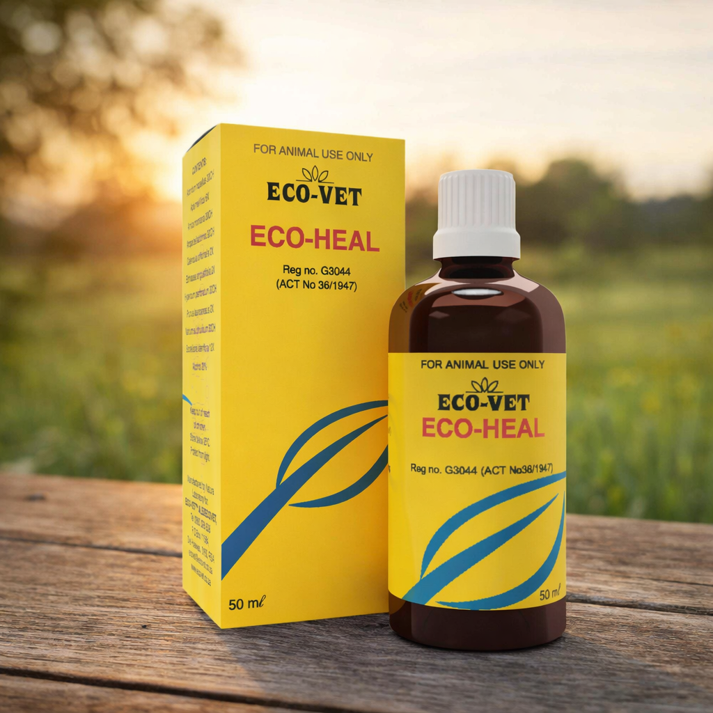 Eco-Heal – Essential First Aid & Recovery Support