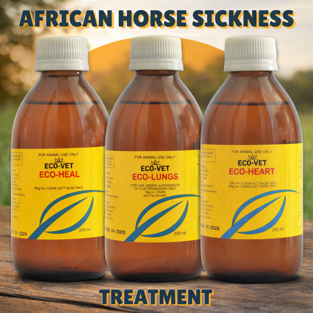 African Horse Sickness Support Kit – Lungs, Heart and Heal